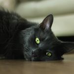 Soft light representation for eye rest